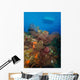 Black Coral Reef Turks Wall Decal