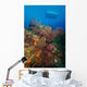 Black Coral Reef Turks Wall Decal