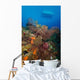Black Coral Reef Turks Wall Decal