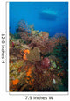 Black Coral Reef Turks Wall Decal