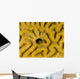 Small Blenny Brain Coral Wall Decal