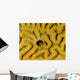 Small Blenny Brain Coral Wall Decal