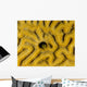 Small Blenny Brain Coral Wall Decal