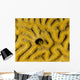 Small Blenny Brain Coral Wall Decal