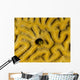 Small Blenny Brain Coral Wall Decal