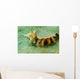 Blue-eyed Hermit Crab West Wall Decal
