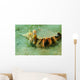 Blue-eyed Hermit Crab West Wall Decal