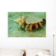 Blue-eyed Hermit Crab West Wall Decal