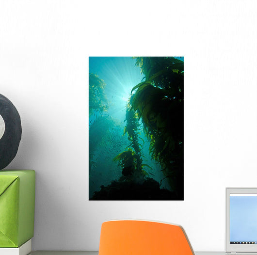 Rays Light Shining through Wall Decal
