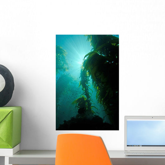 Rays Light Shining through Wall Decal