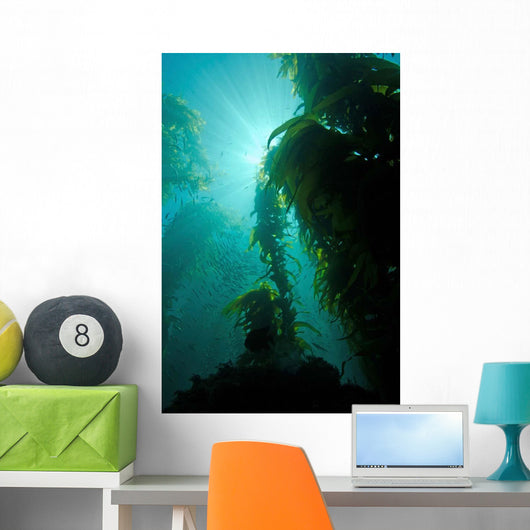 Rays Light Shining through Wall Decal
