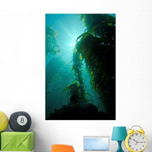 Rays Light Shining through Wall Decal