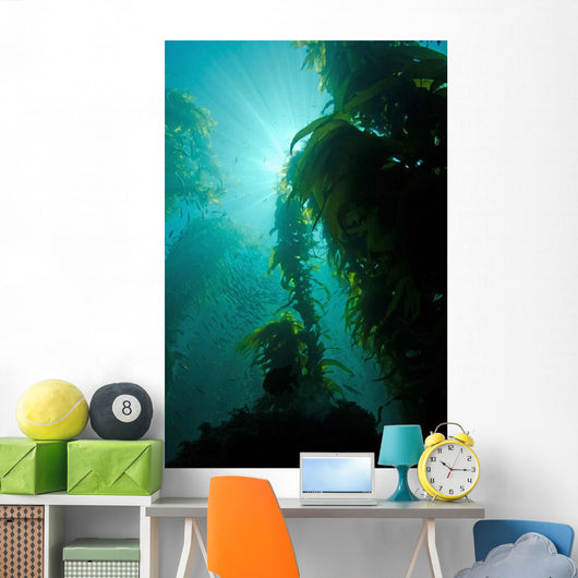 Rays Light Shining through Wall Decal