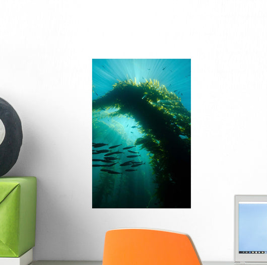 Sunrays Shining through Cathedral Wall Decal
