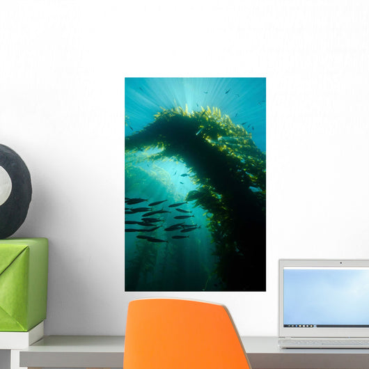 Sunrays Shining through Cathedral Wall Decal