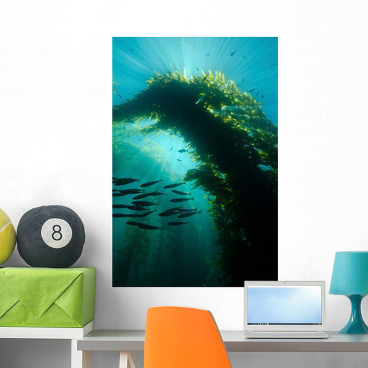 Sunrays Shining through Cathedral Wall Decal