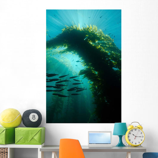 Sunrays Shining through Cathedral Wall Decal