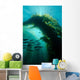 Sunrays Shining through Cathedral Wall Decal