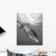 Oceanic Whitetip Shark Cat Wall Decal Design 12
