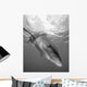 Oceanic Whitetip Shark Cat Wall Decal Design 12