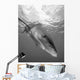 Oceanic Whitetip Shark Cat Wall Decal Design 12