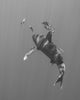 Oceanic Whitetip Shark Chasing Wall Decal