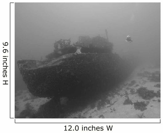 Wreck Diving Superior Producer Wall Decal