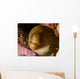 Close-up Goldentail Moray Curacao Wall Decal