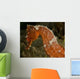 Close-up Orange Seahorse Wall Decal