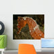 Close-up Orange Seahorse Wall Decal
