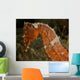 Close-up Orange Seahorse Wall Decal