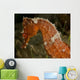 Close-up Orange Seahorse Wall Decal