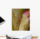 Spotted Cleaner Shrimp Pink Wall Decal Design 2
