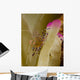 Spotted Cleaner Shrimp Pink Wall Decal Design 2