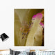 Spotted Cleaner Shrimp Pink Wall Decal Design 2