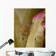 Spotted Cleaner Shrimp Pink Wall Decal Design 2