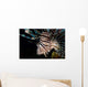 Close-up Lionfish Curacao Wall Decal