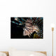 Close-up Lionfish Curacao Wall Decal