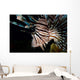 Close-up Lionfish Curacao Wall Decal