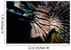 Close-up Lionfish Curacao Wall Decal