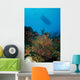 Diver and Boat above Wall Decal