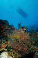 Diver and Boat above Wall Decal