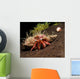 Hermit Crab Sponge Gulf Wall Decal