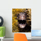 Close-up Angry Spotted Moray Wall Decal