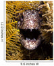 Close-up Angry Spotted Moray Wall Decal