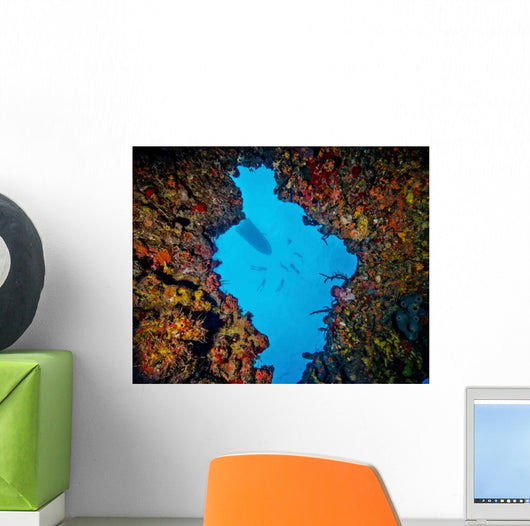 World Champion Free Diver Wall Decal