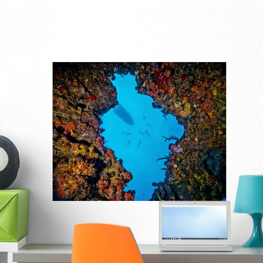 World Champion Free Diver Wall Decal