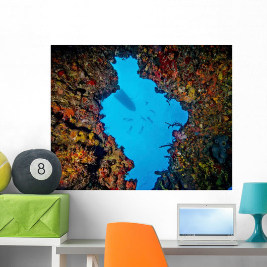 World Champion Free Diver Wall Decal