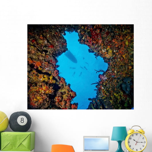 World Champion Free Diver Wall Decal