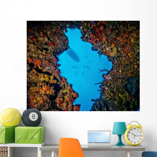 World Champion Free Diver Wall Decal